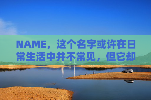 NAME，这个名字或许在日常生活中并不常见，但它却在某些领域里扮演着重要的角色。今天，让我们一起来探索这个名字背后的故事和意义